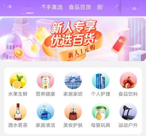 向百萬(wàn)SKU進(jìn)軍 真快樂(lè)的全品類(lèi)構(gòu)想與網(wǎng)上日用百貨銷(xiāo)售藍(lán)圖